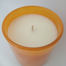 Load image into Gallery viewer, OM Candle
