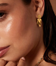 Load image into Gallery viewer, Mini Shell Stud Charm Earrings Gold