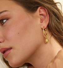 Load image into Gallery viewer, Charm Hoop Earrings